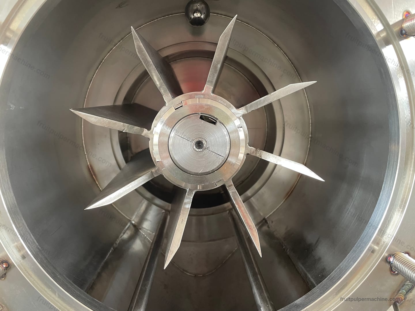 Fruit pulper rotor blade geometry viewed from the open chamber entrance